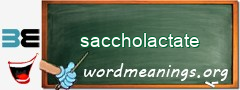 WordMeaning blackboard for saccholactate